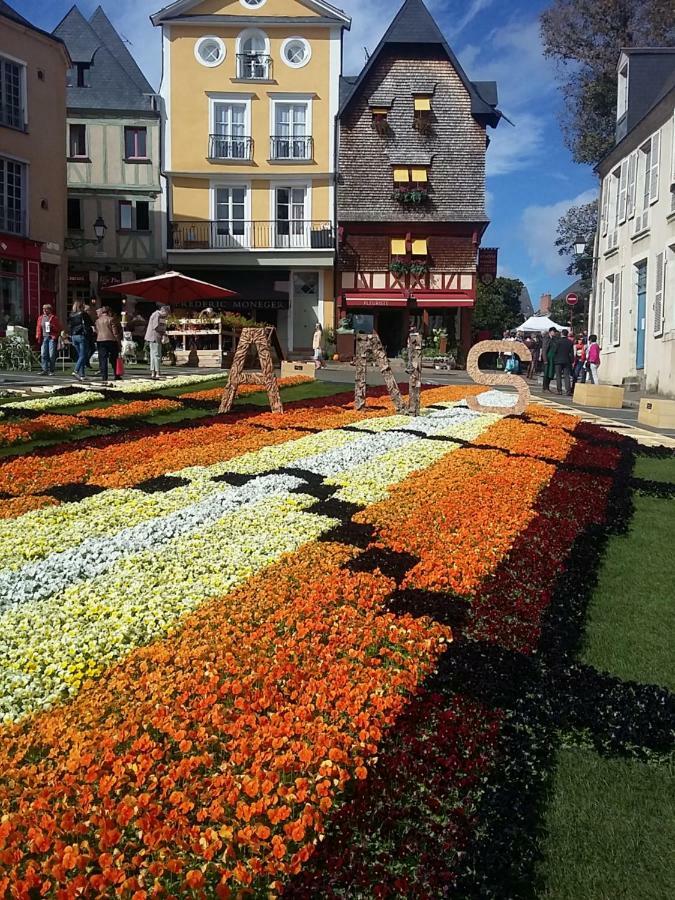 Logis Louisblanc, Muraille Romaine, Lit Queen-Size, Centre Ville لو مان المظهر الخارجي الصورة